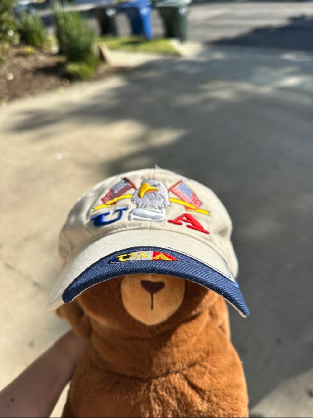 Beige USA Eagle Baseball Cap